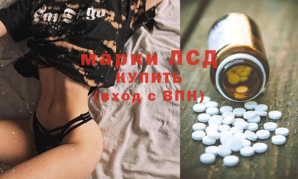СК Вязьма