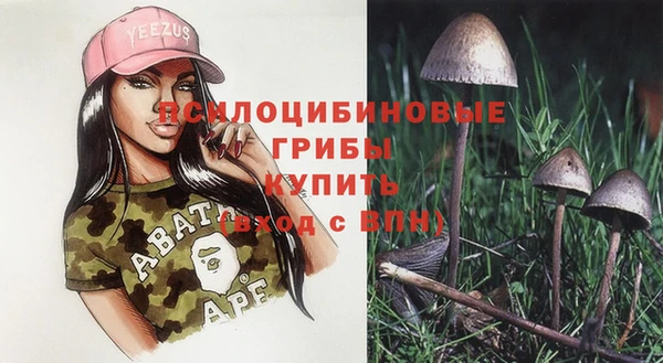 мескалин Гусь-Хрустальный