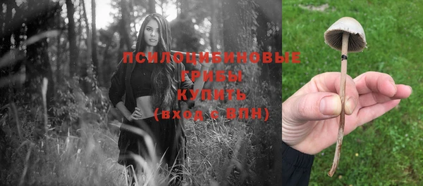 мяу мяу кристалл Гусев